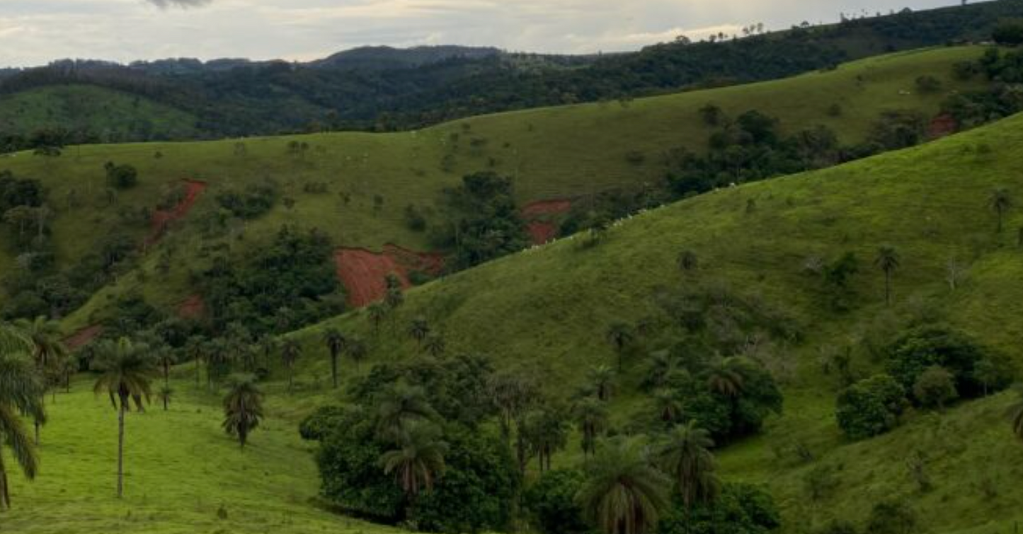 BRAZIL - Parceiros do Café (APR 25) - $13.00/lb