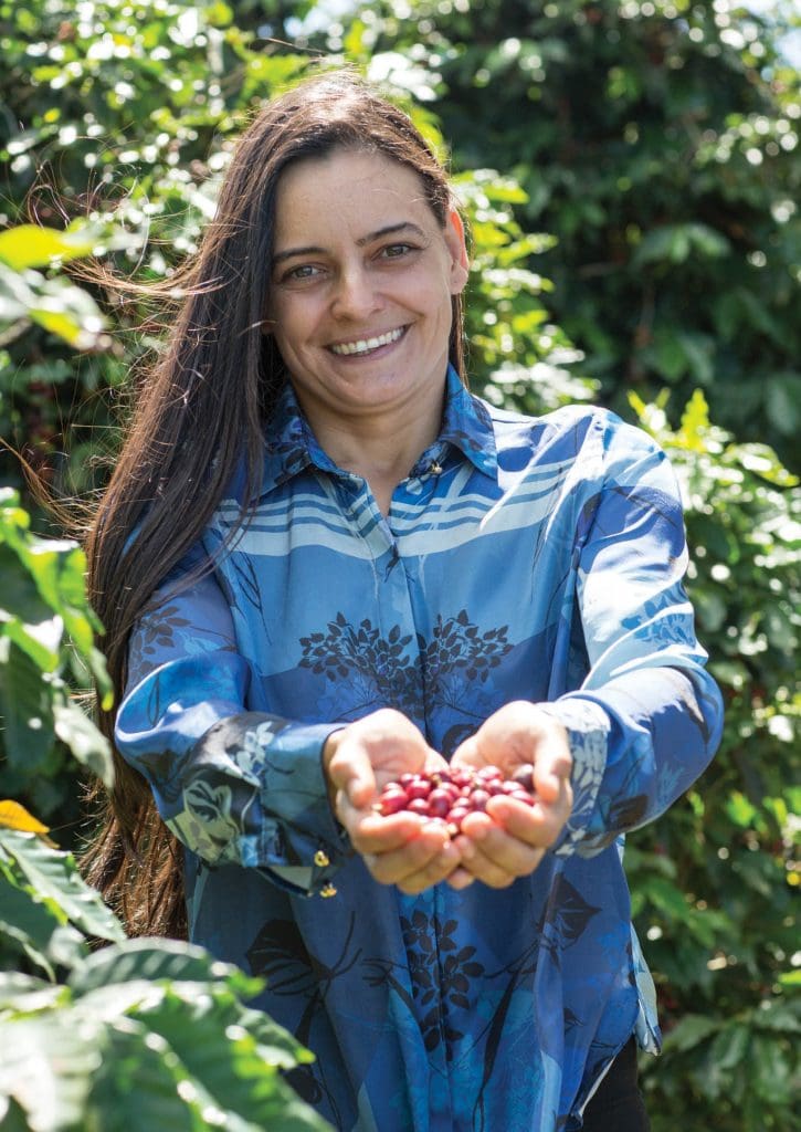 BRAZIL - Pau Natural - £19.00/kg