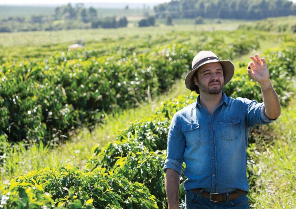 BRAZIL - Pau Natural - £19.00/kg