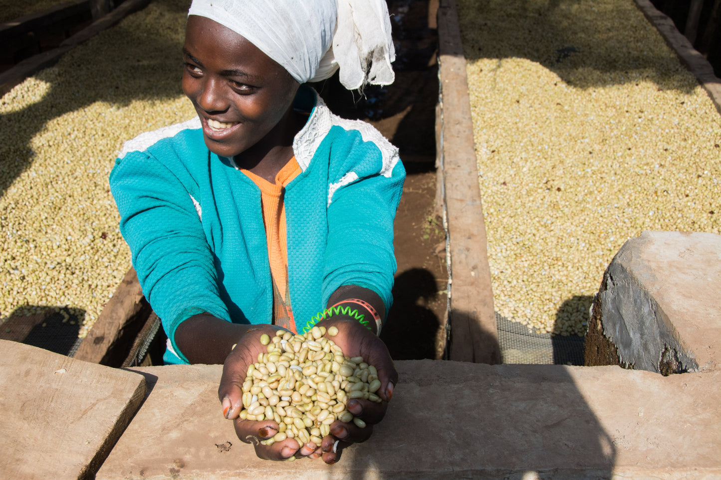 ETHIOPIA - Limmu Kossa Washed (OCT 24)- $11.75/lb