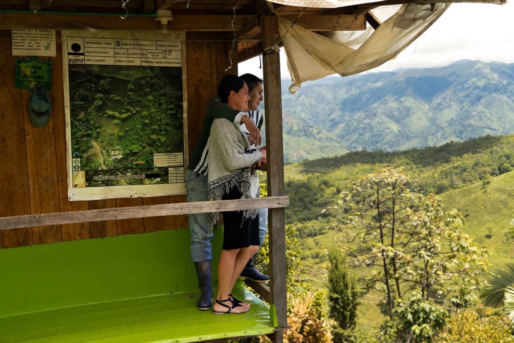 Decaf Magia del Campo (MAR 25)