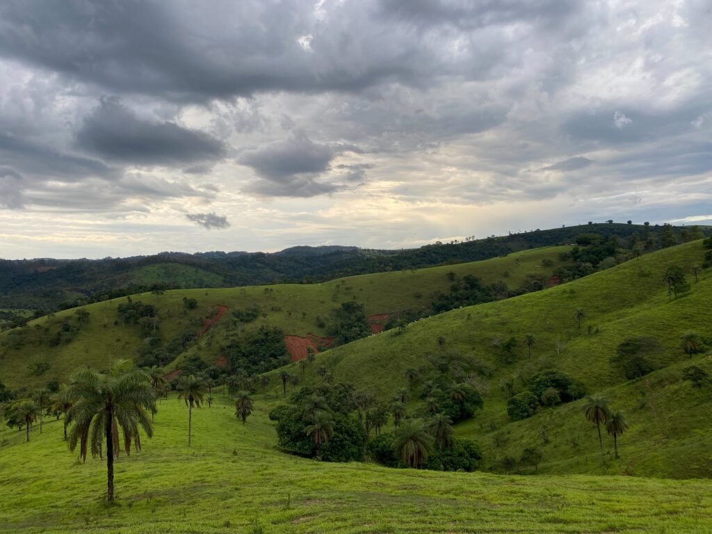 Parceiros do Cafe (APR 25)