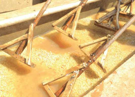 Rako Washed (JUL 25)