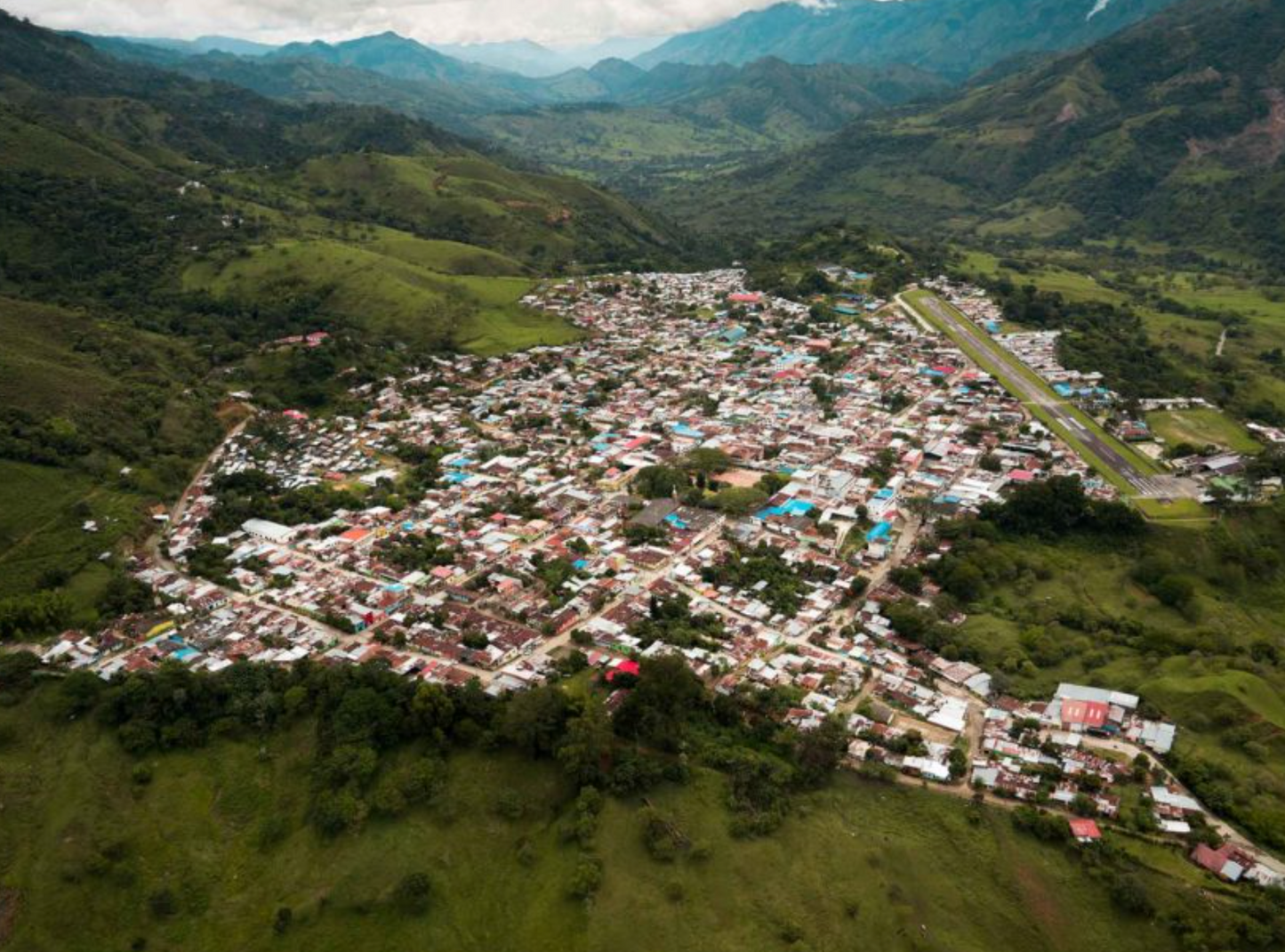 DECAF COLOMBIA - Magia del Campo (MAR 25) - $11.50/lb