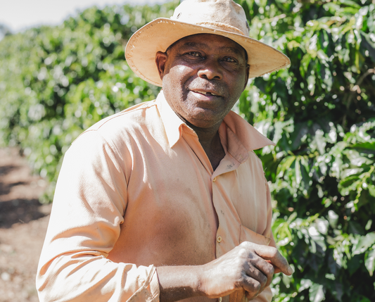 BRAZIL - Parceiros do Café (APR 25) - $13.00/lb