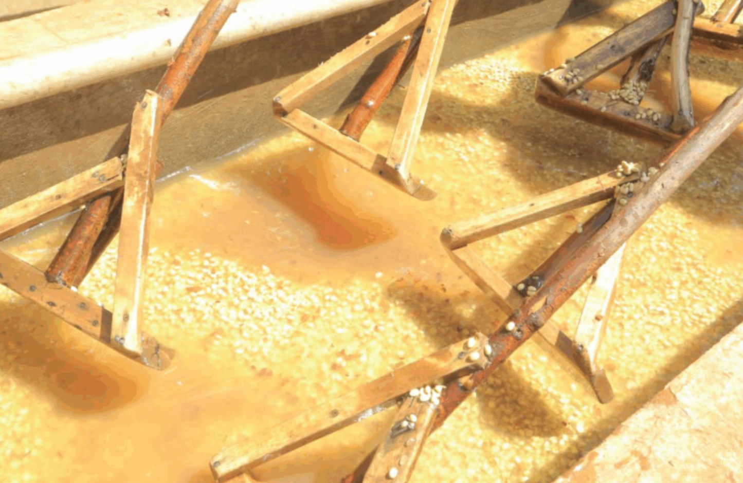 Rako Washed (JUL 25)