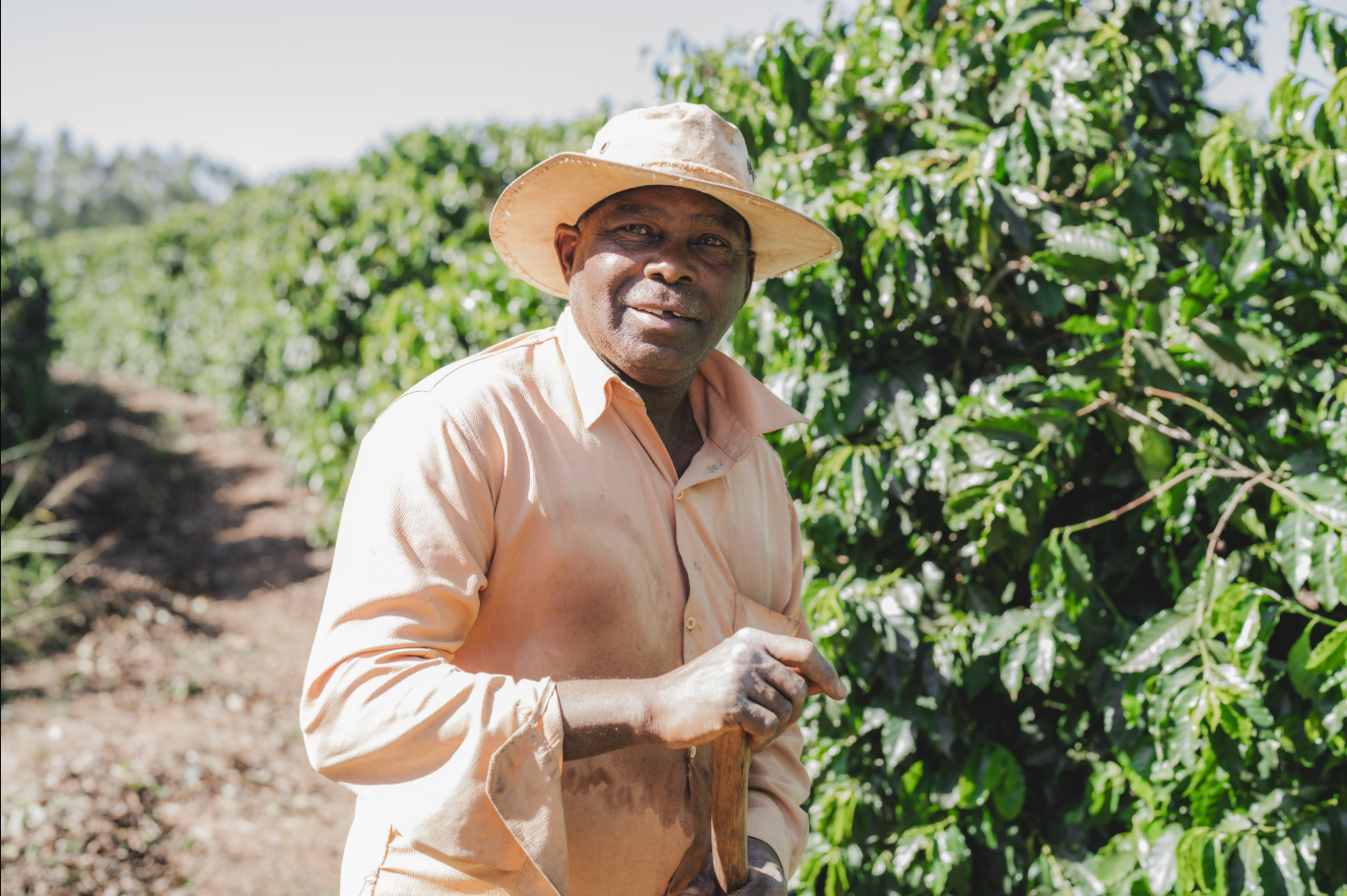 Parceiros do Cafe (APR 25)