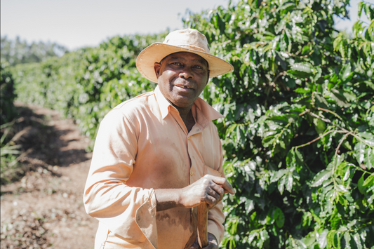 Parceiros do Cafe (APR 25)